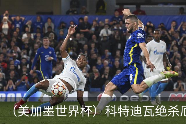 （美加墨世界杯）科特迪瓦绝杀厄瓜多尔 瑞典5:1大胜突尼斯